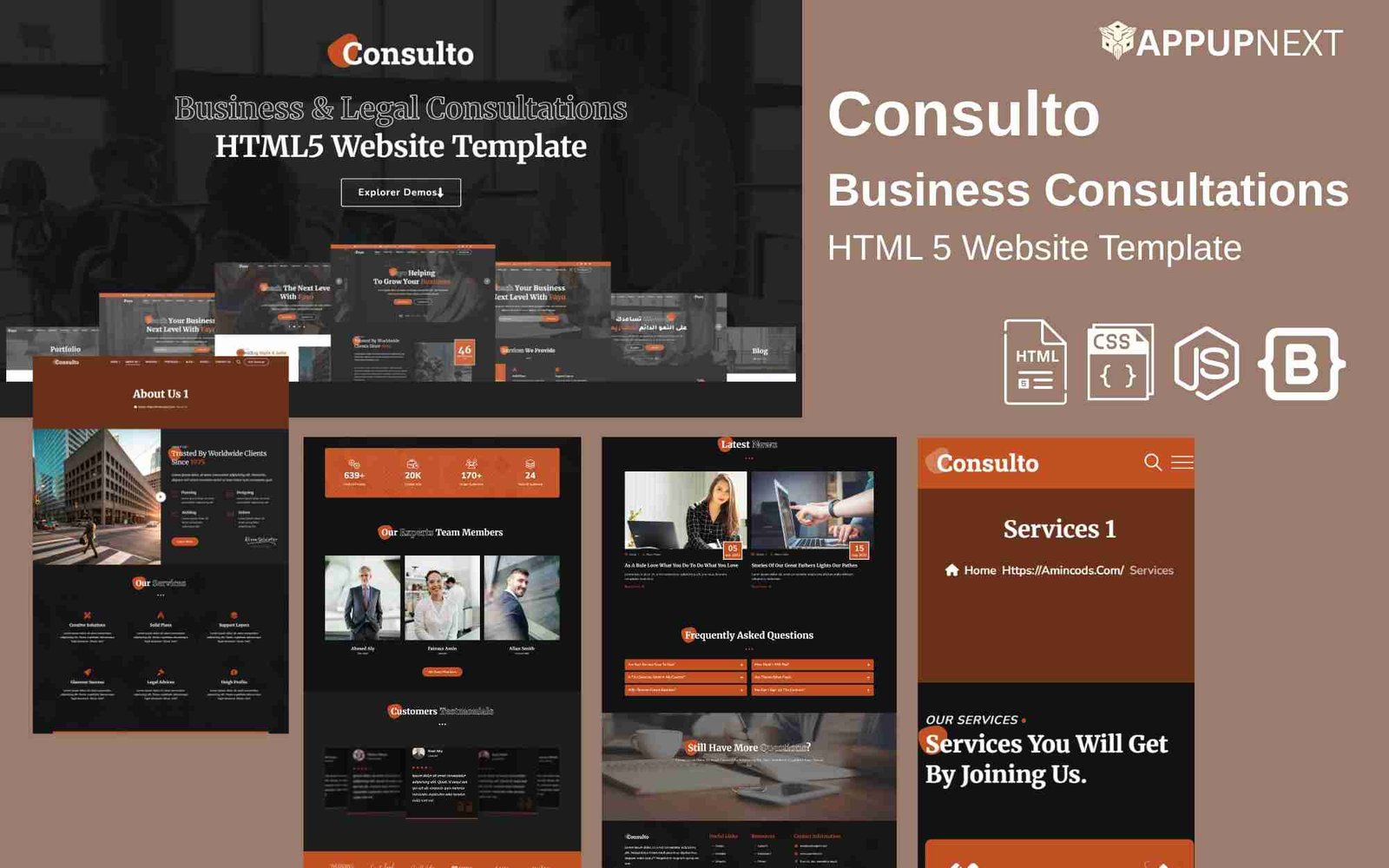Consulto - Business Consultations - HTML 5 Website Template - v1