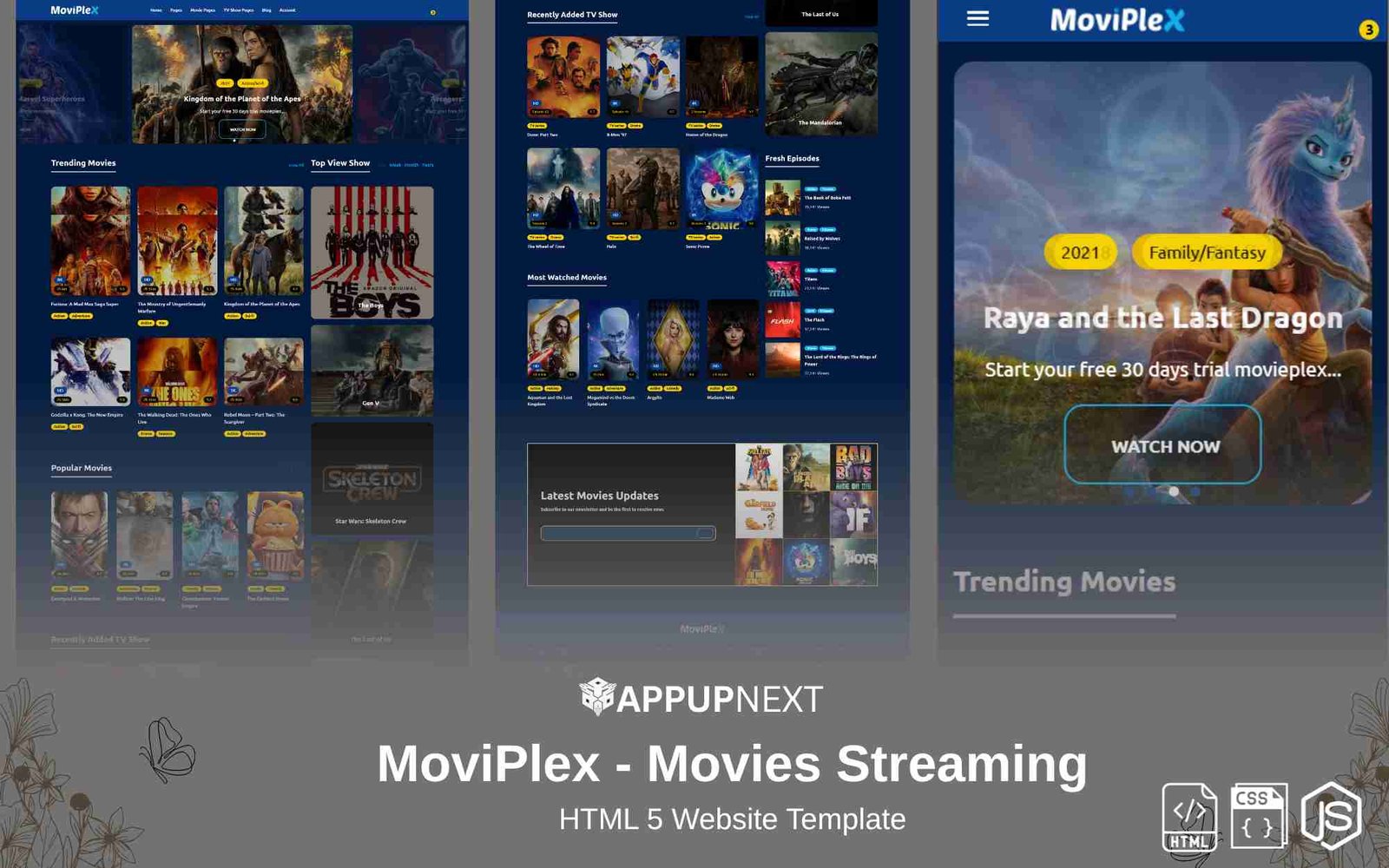MoviPlex - Movies Streaming - HTML 5 Website Template - v3