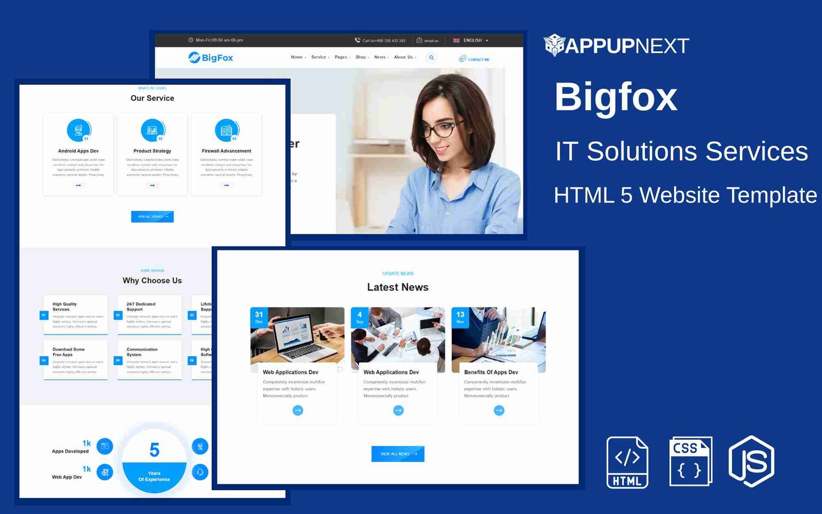 Bigfox - IT Solutions Services - HTML 5 Website Template - v5