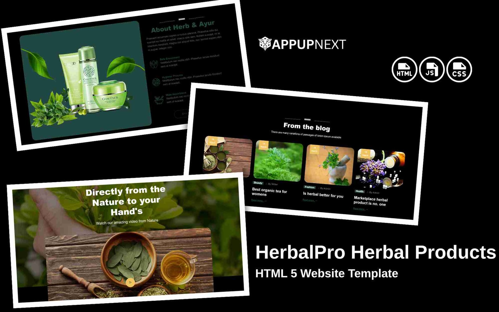 HerbalPro - Herbal Products - HTML 5 Website Template - v2