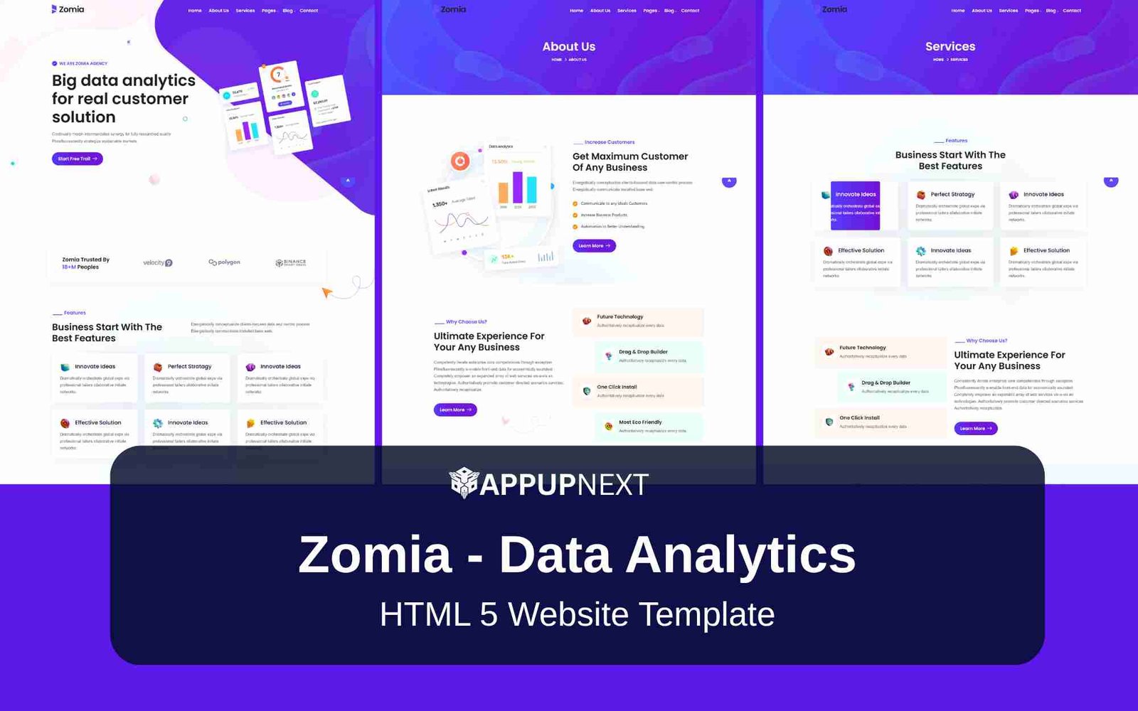 Zomia - Data Analytics - HTML 5 Website Template